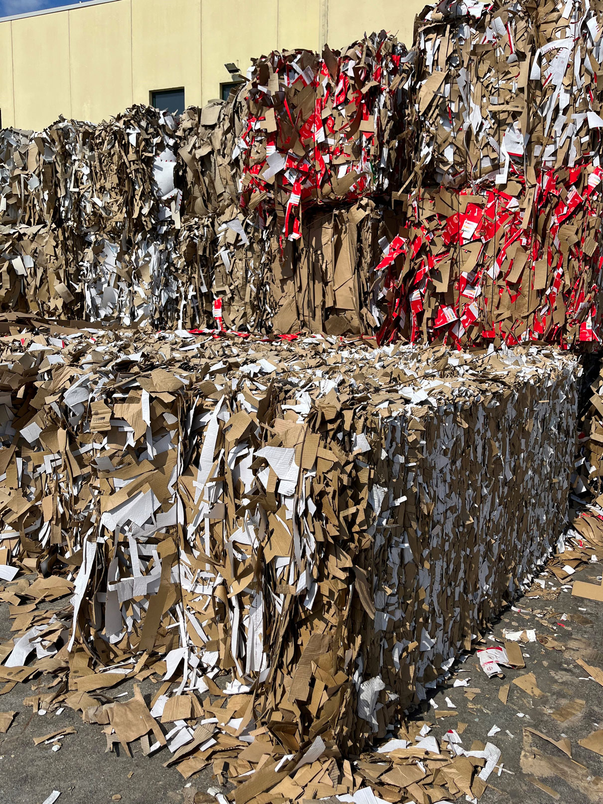 Imbal Carton Società Benefit srl – 3